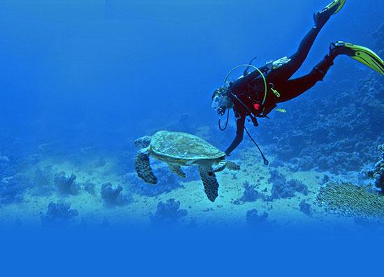Flexi Tours - Andaman Family Package